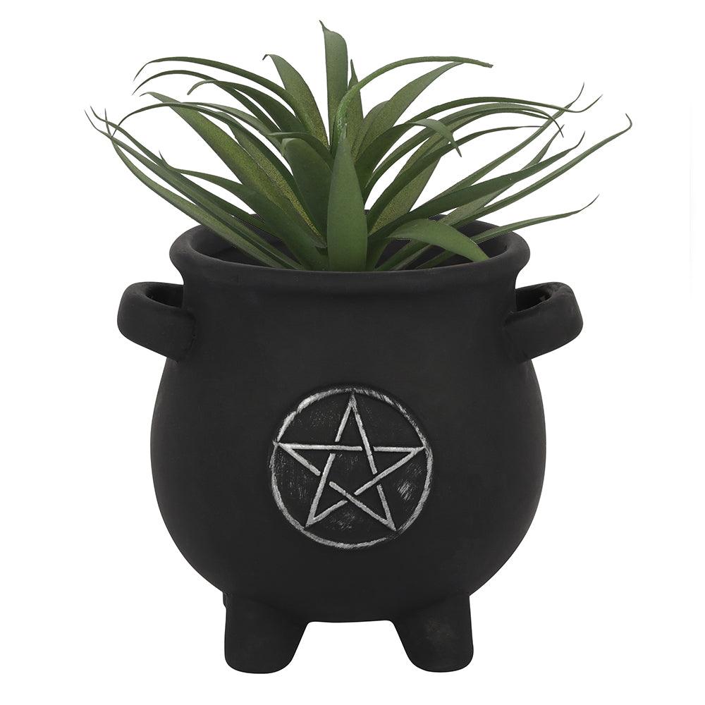 View Pentagram Cauldron Plant Pot information