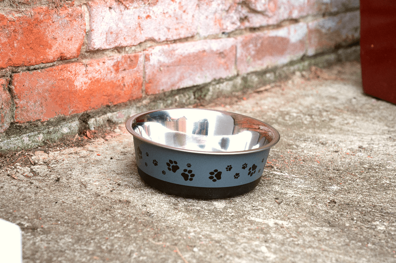 View Pet Bowl 12 Litre In Cool Grey information