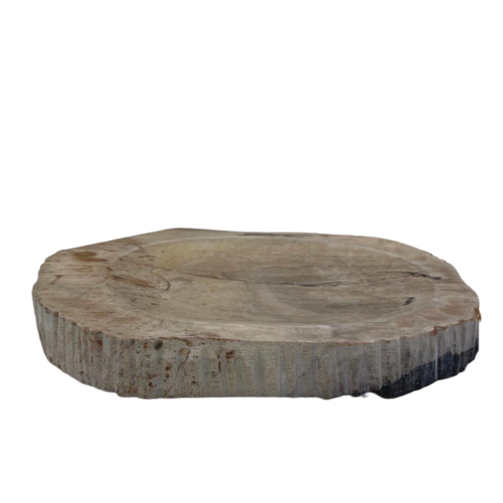 View Petrified Wood Brown Soap Dish information