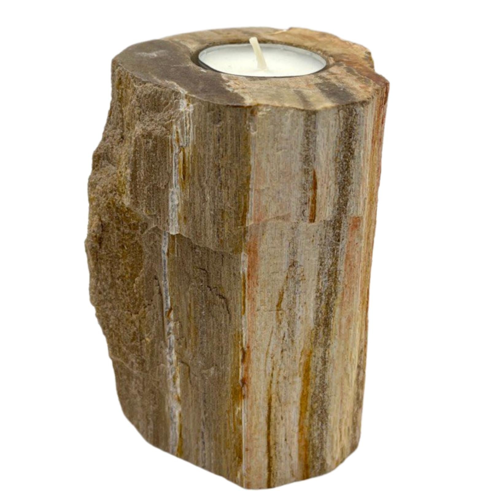 View Petrified Wood Candle Holder Single Tall information