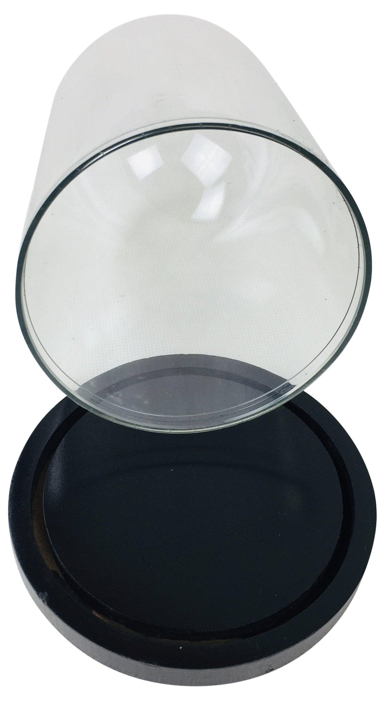 View Plastic Display Dome 165cm information