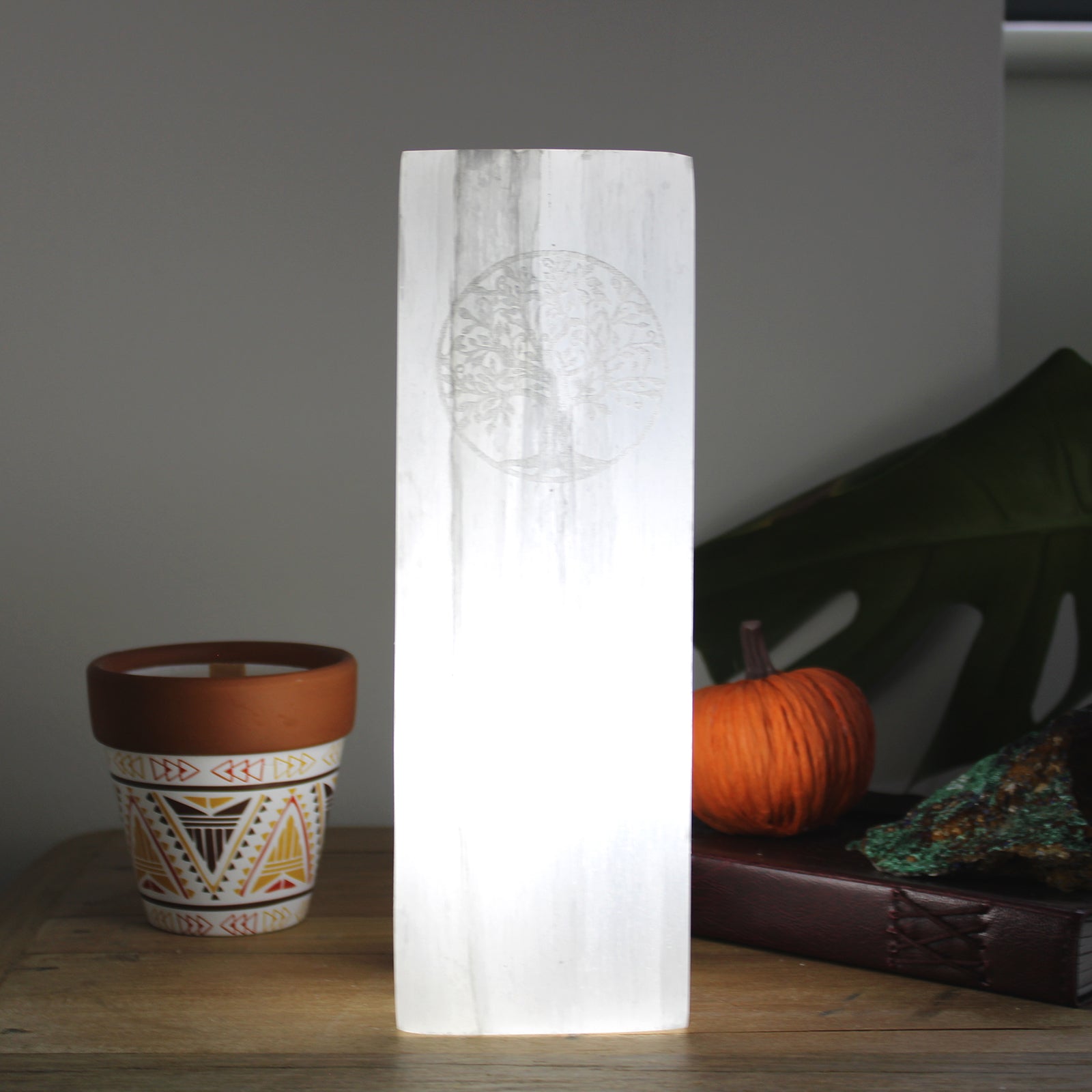 View Selenite Block Lamp 25cm Tree of Life information