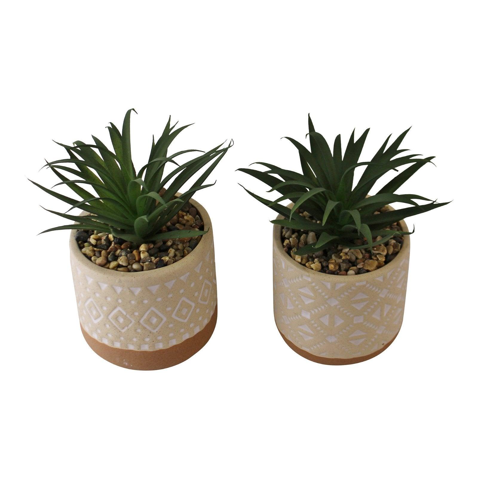 View Set of 2 Faux Succulents In Ceramic Pots information