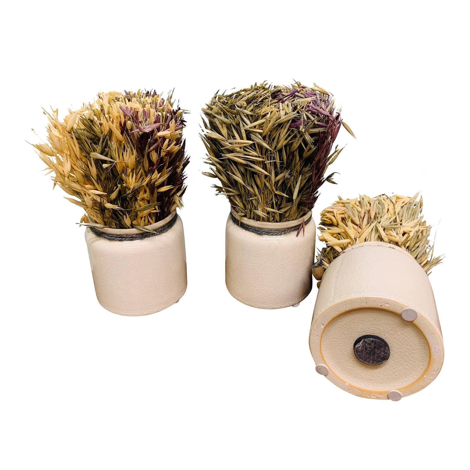 View Set of 3 Dried Grasses In Ceramic Pots information