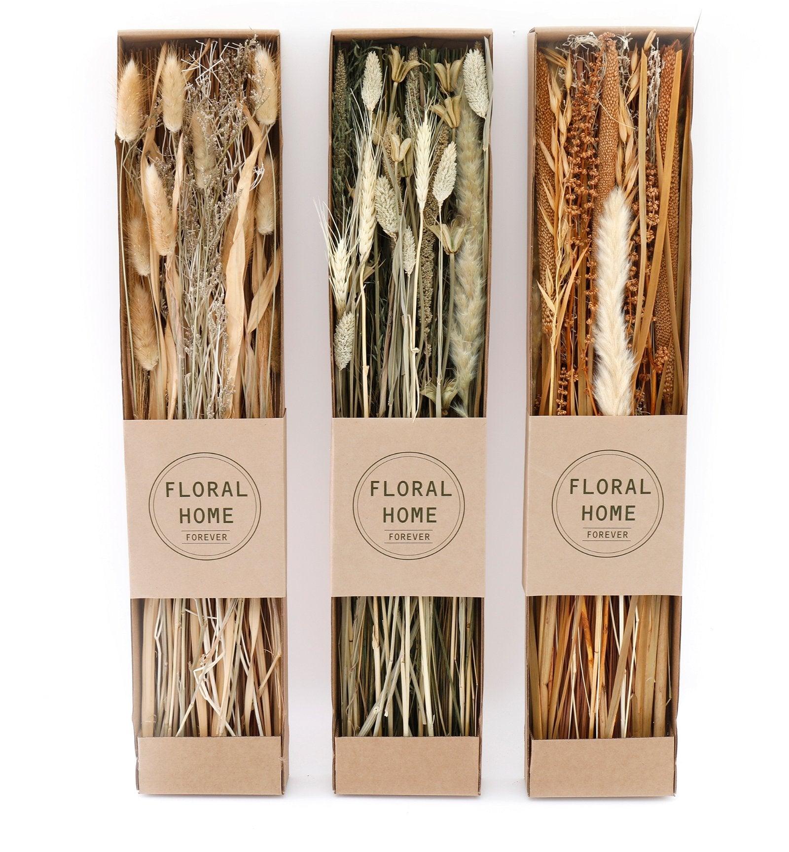 View Set of 3 Dried Grasses in Display Box information