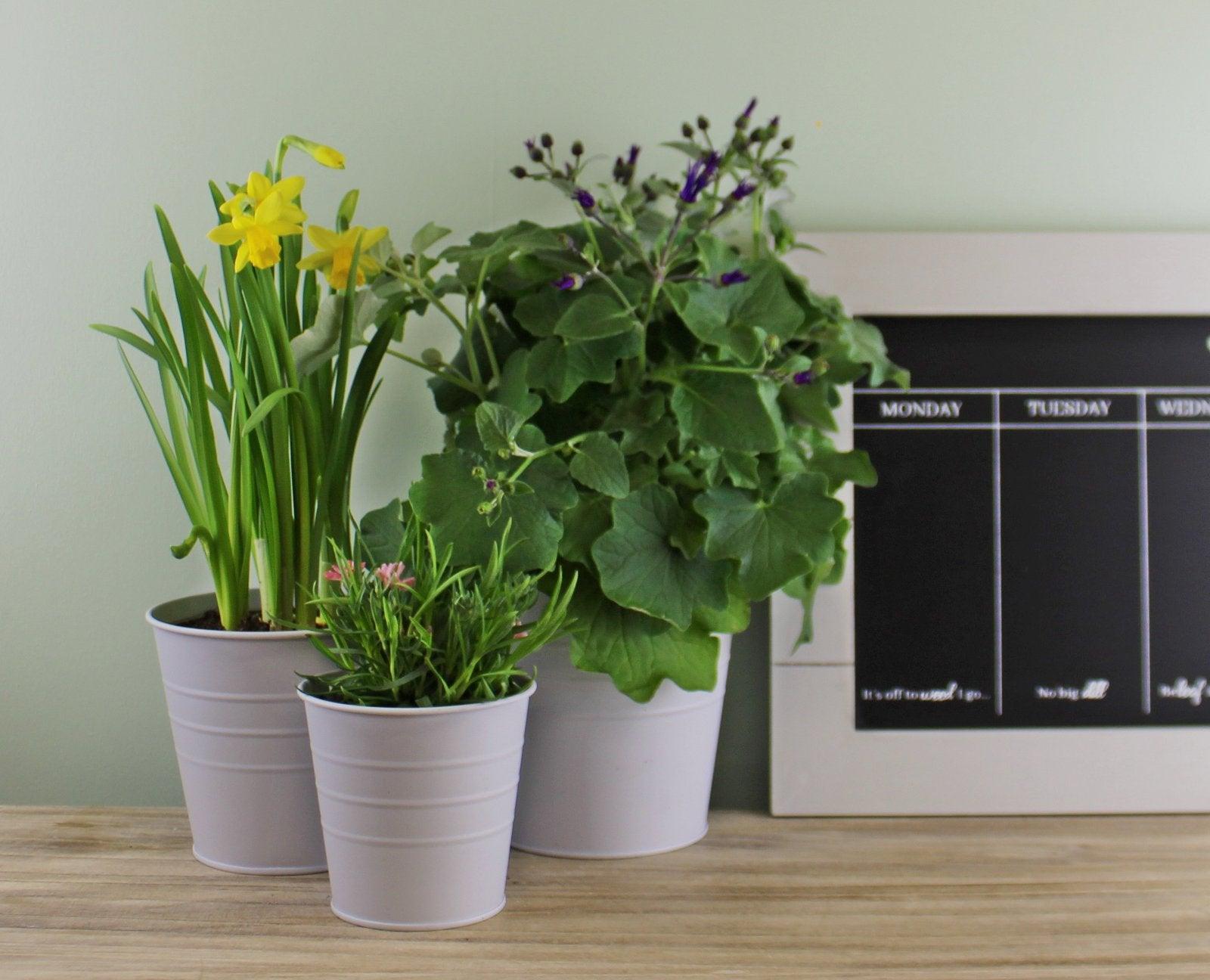 View Set of 3 Round Metal Planters Green information