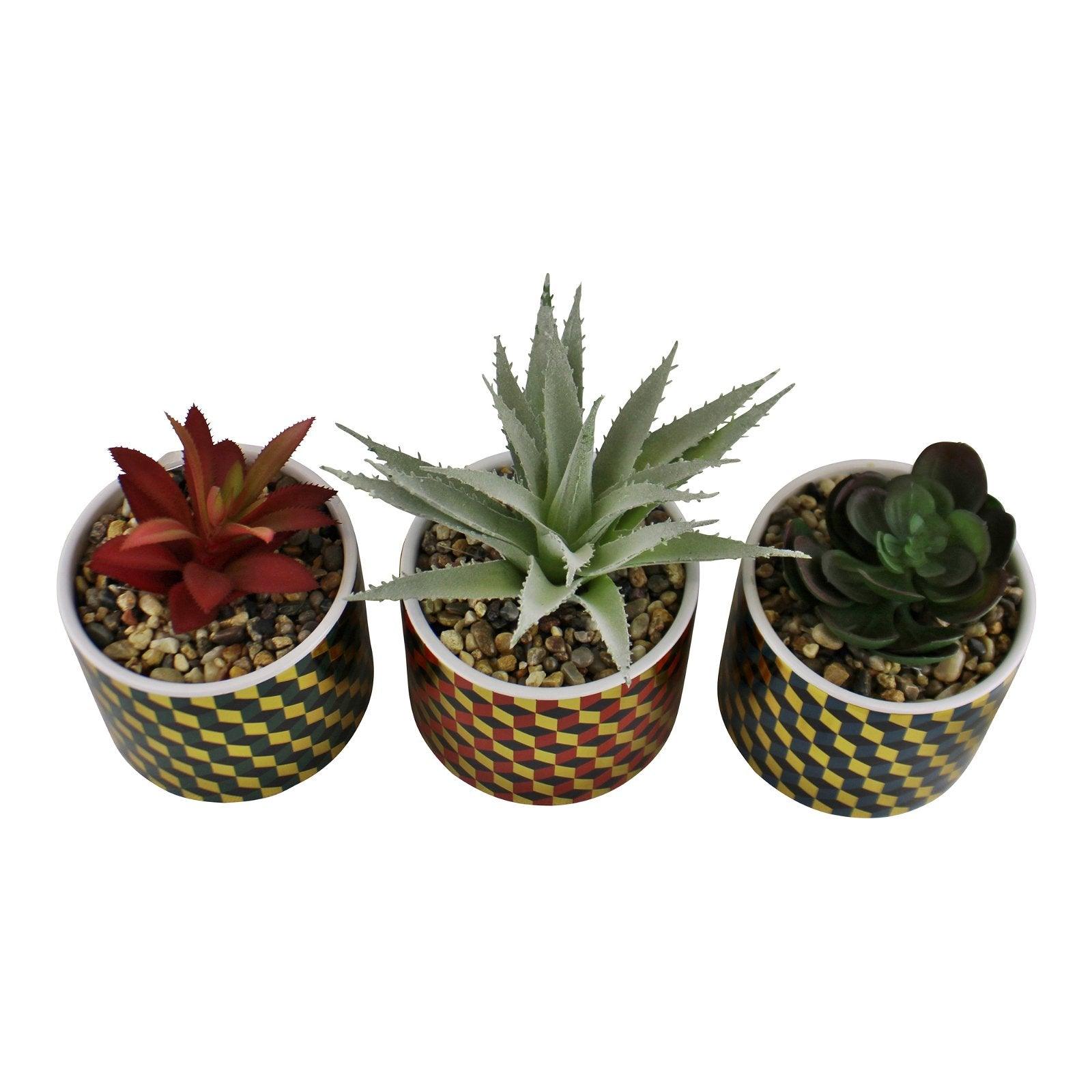 View Set of 3 Succulents In Ceramic Pots With A Cubic Design information