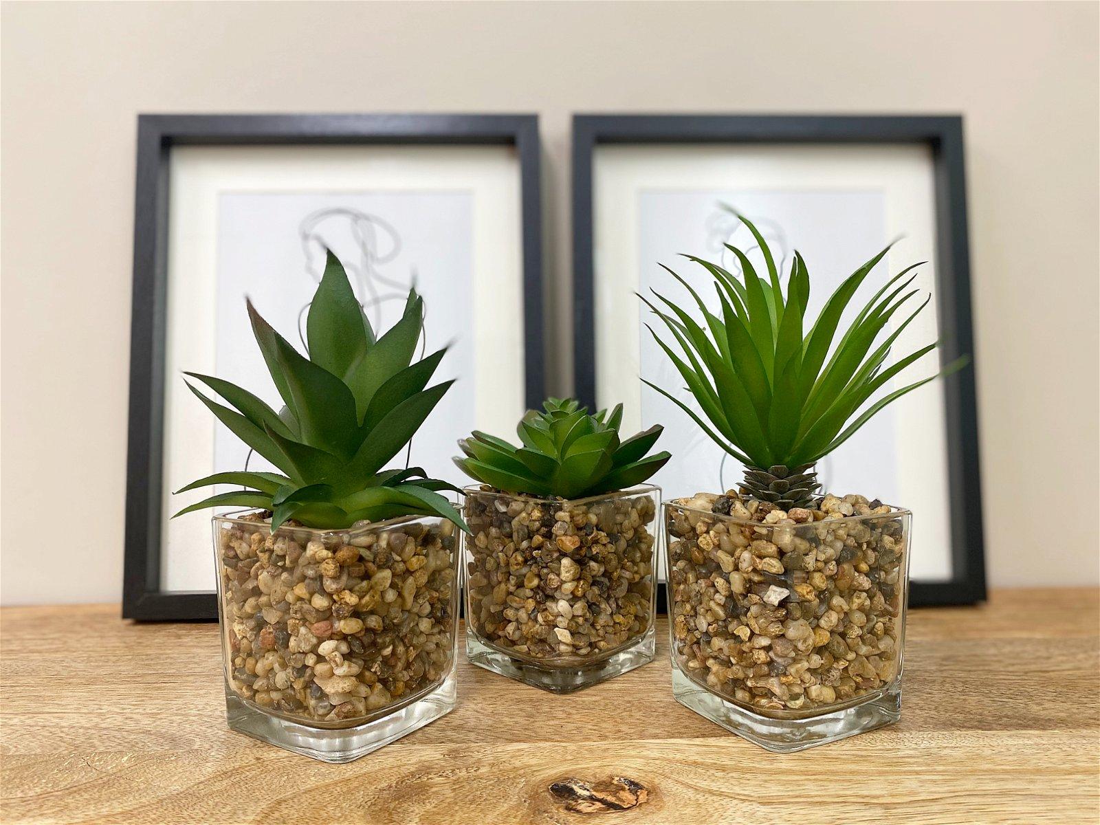 View Set Of Three Faux Succulents In Glass Pots information