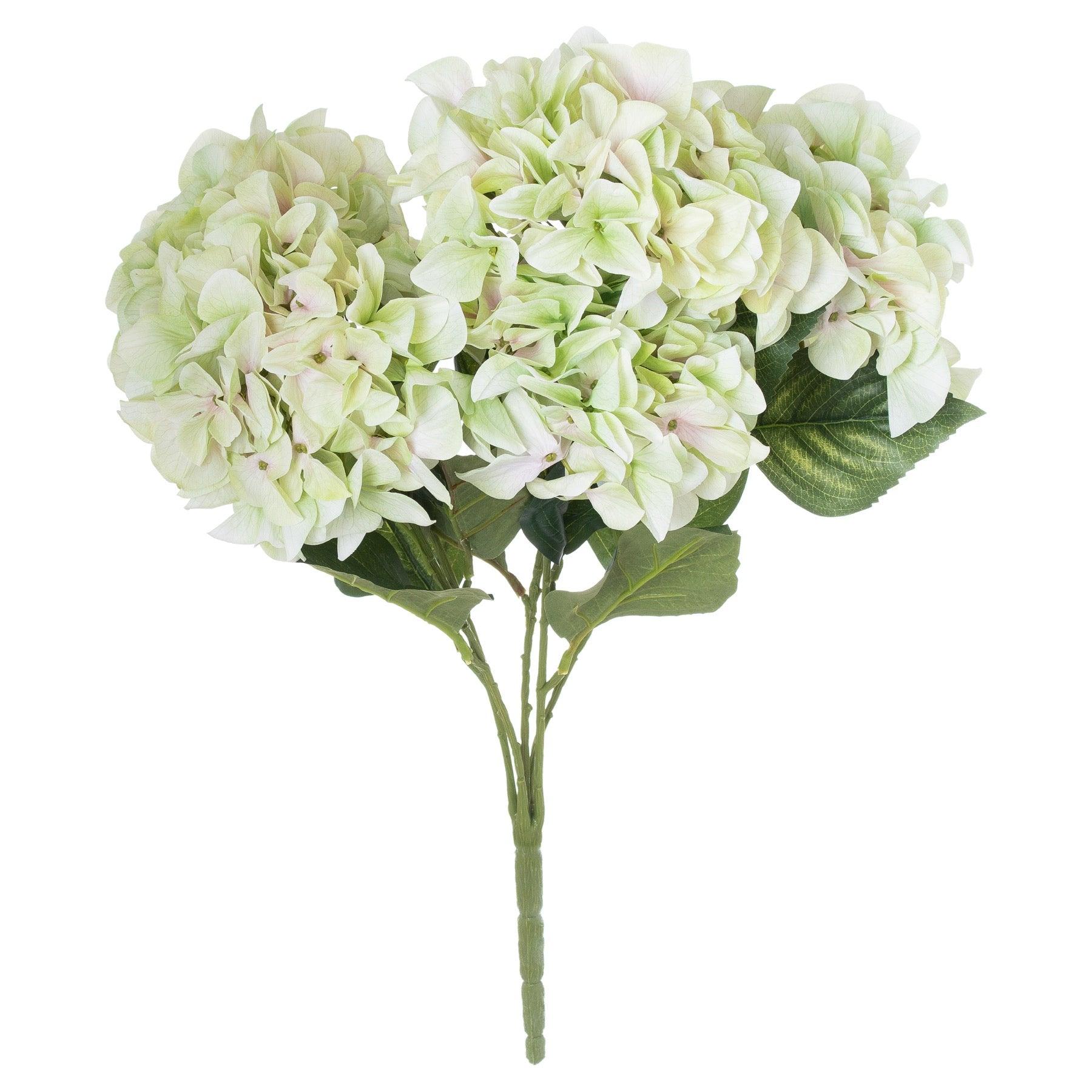 View Shabby Green Hydrangea Bouquet information