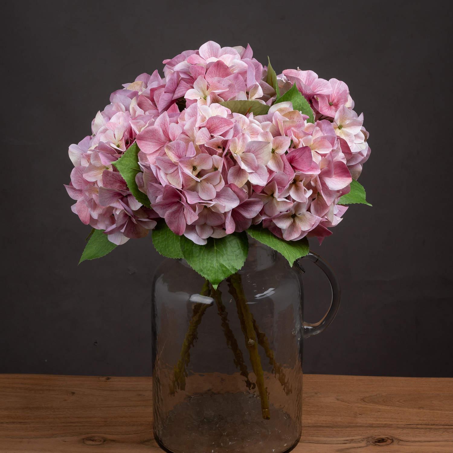 View Shabby Pink Single Hydrangea information