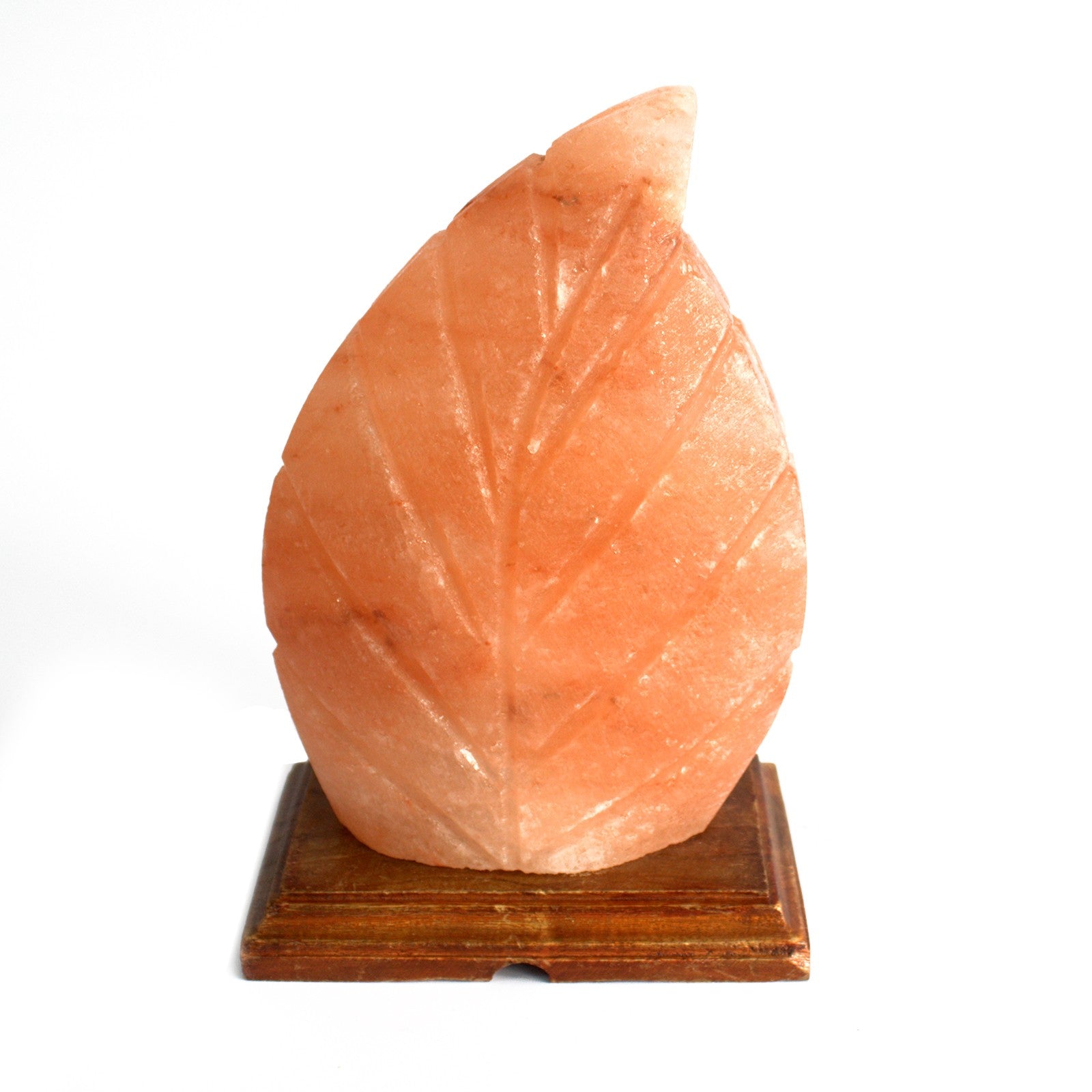 View Shape Salt Lamp Fern information