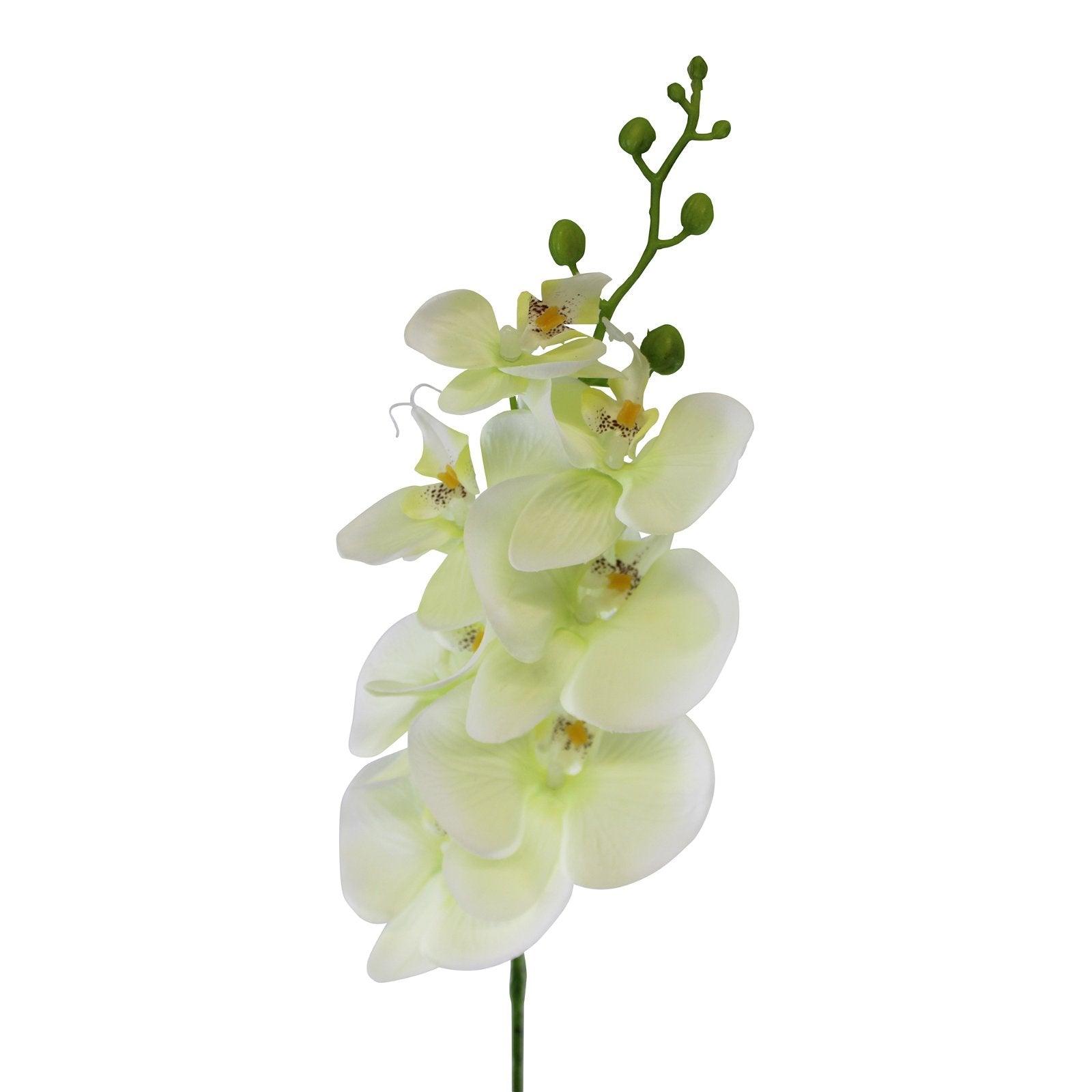 View Single Orchid Spray Cream Flowers 85cm information