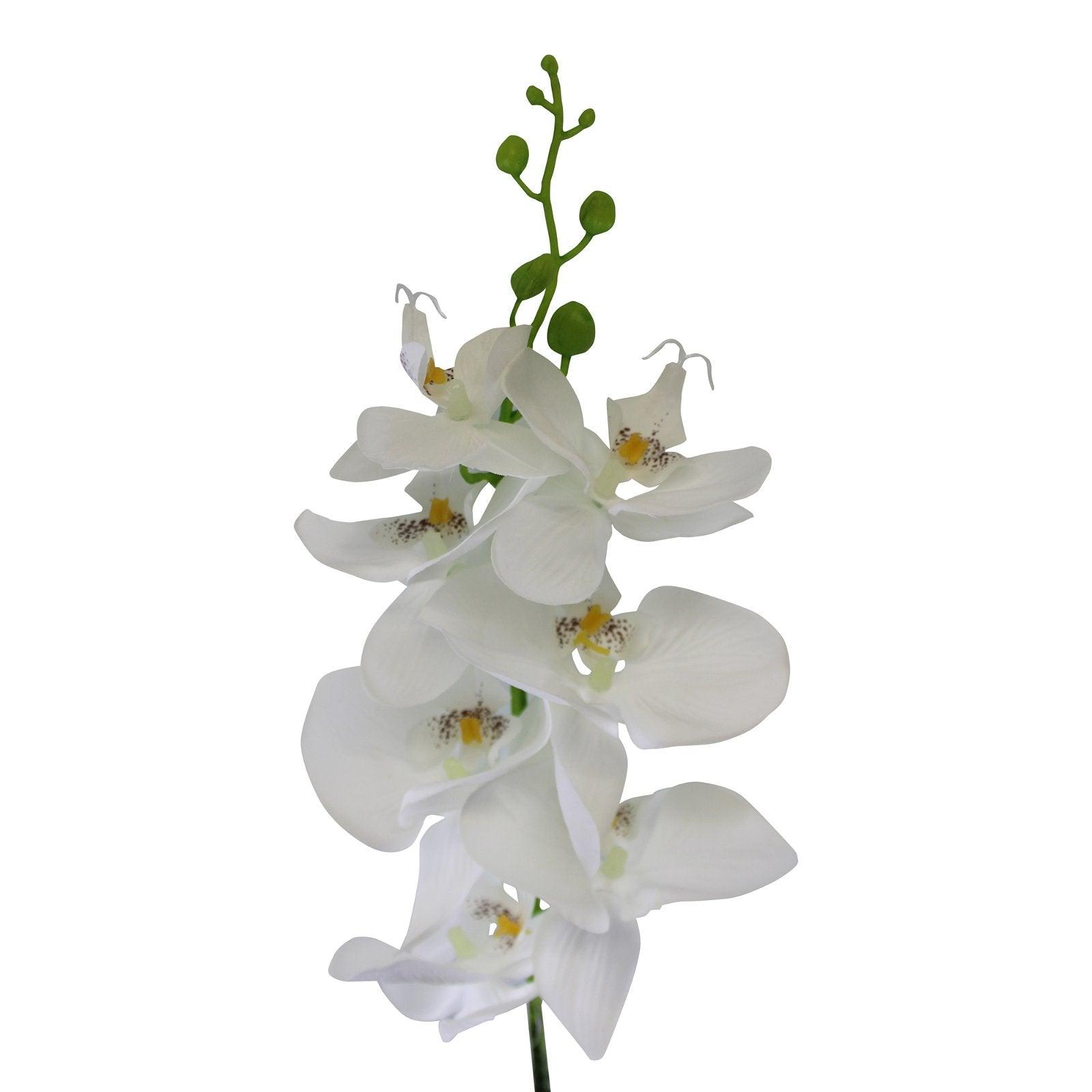 View Single Orchid Spray White Flowers 85cm information
