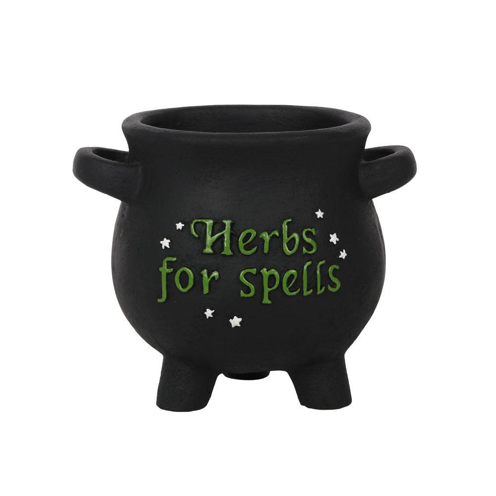 View Small Herbs For Spells Cauldron Plant Pot information