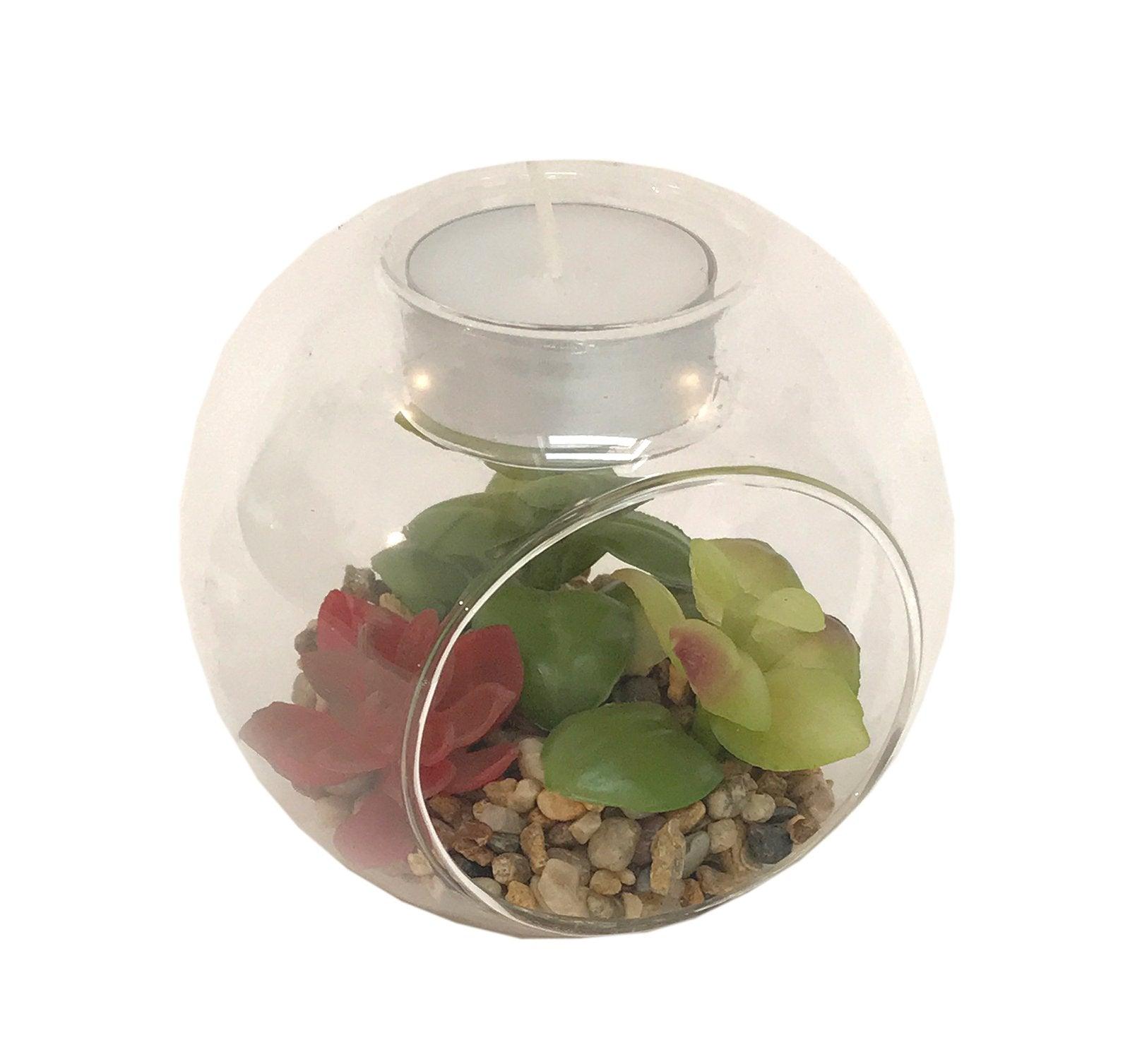 View Succulent In Glass Terrarium with TeaLight Holder information