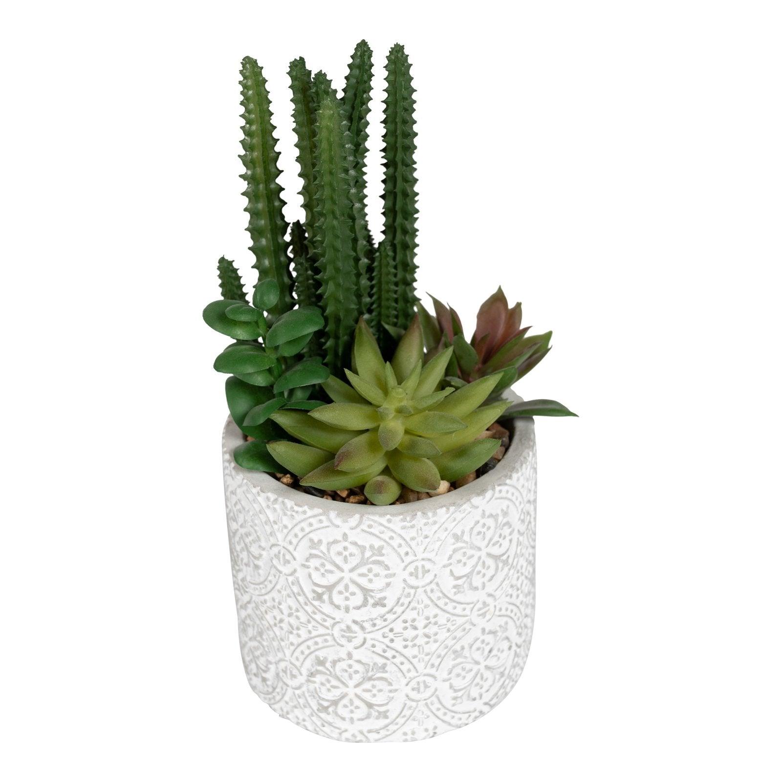 View Succulents In Aztec Embossed Pot information