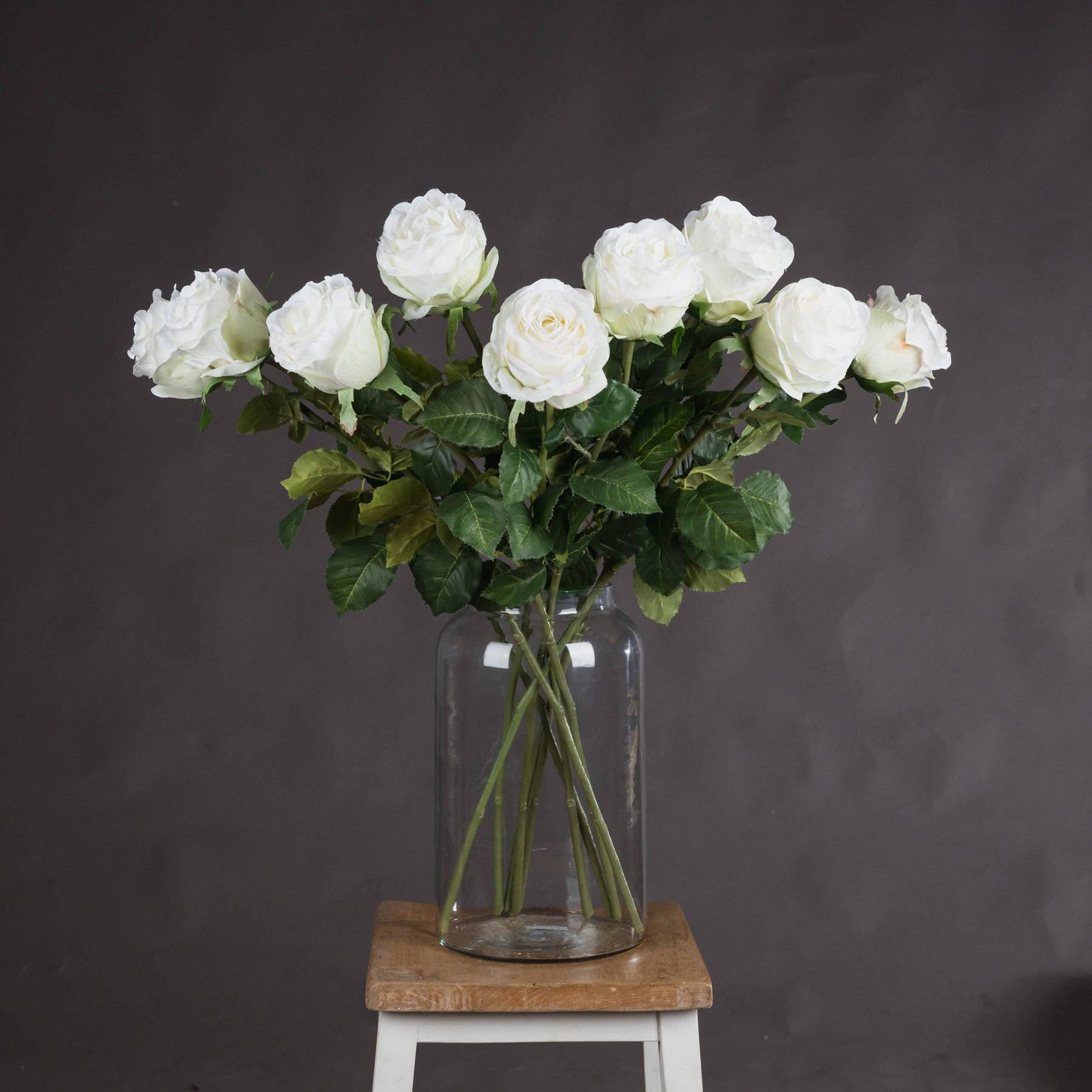 View Traditional White Rose information