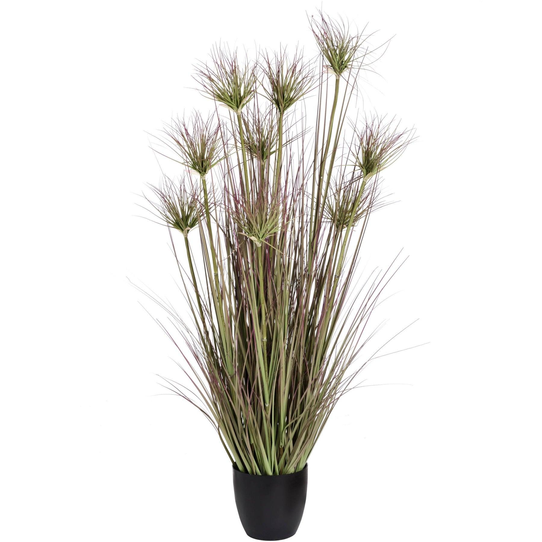 View Water Bamboo Grass 48 Inch information