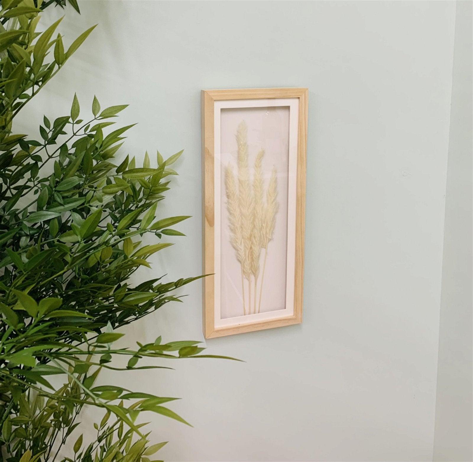 View White Pampas In Rectangular Frame 50cm information