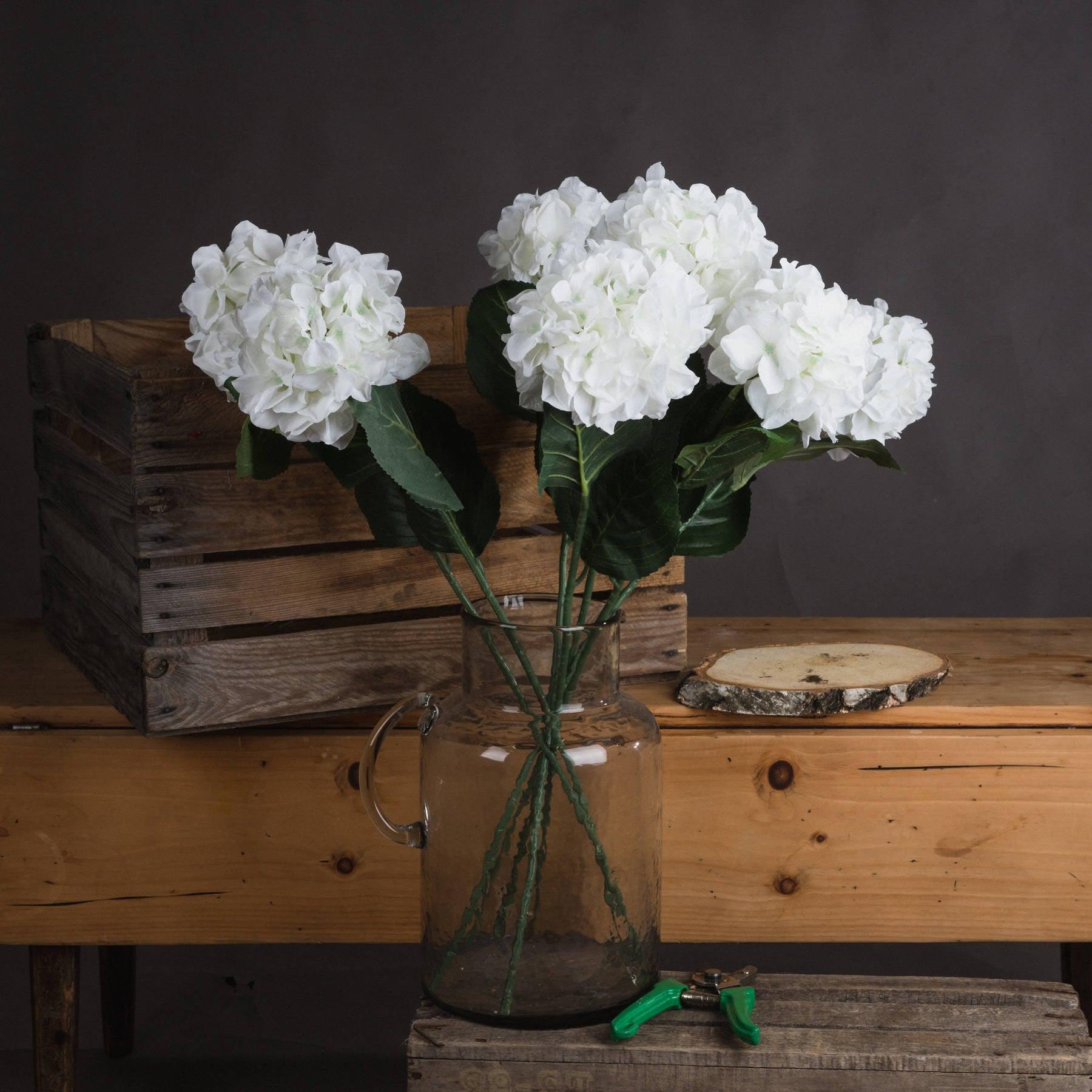 View White Small Head Hydrangea information