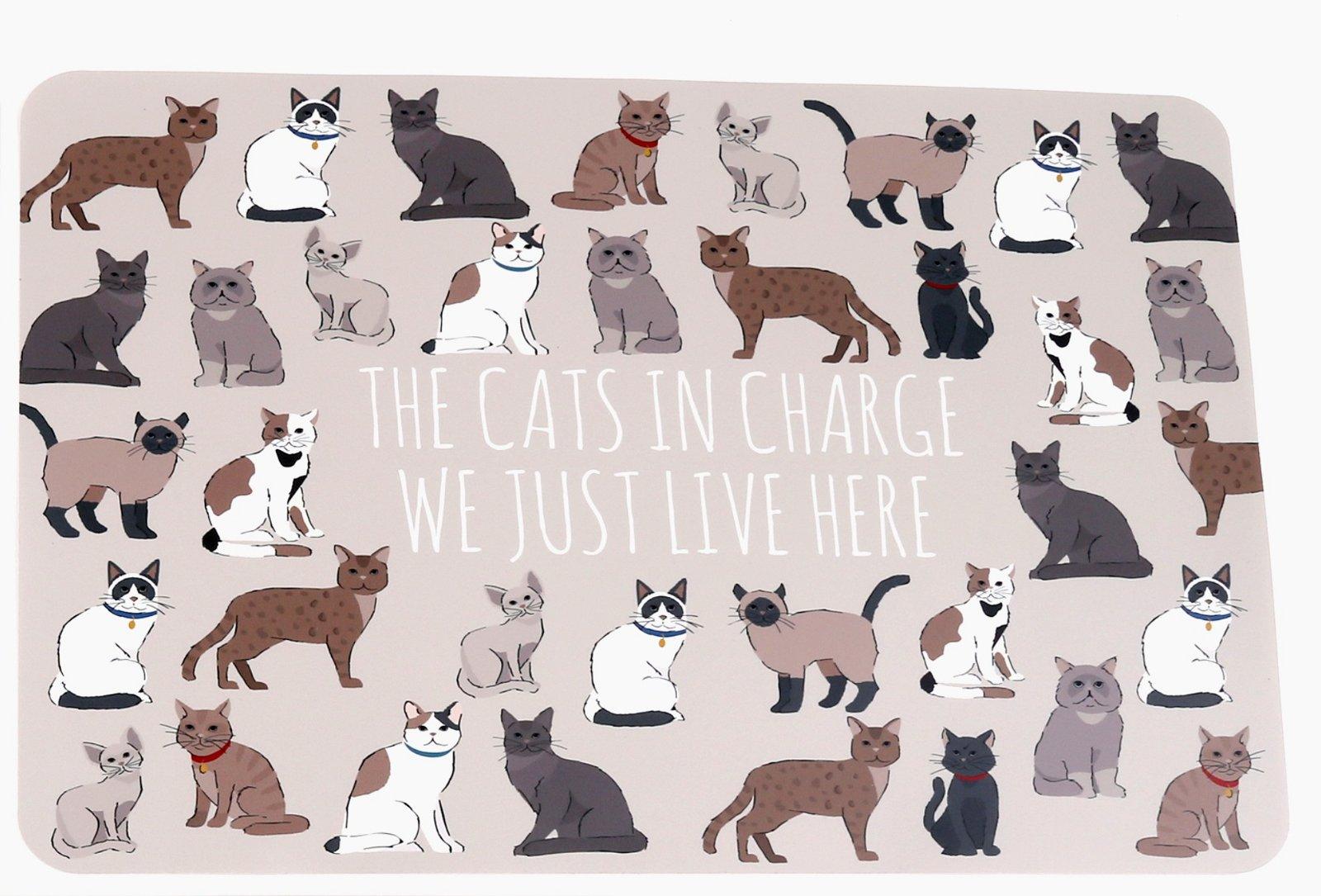 View Wipeable Cat Themed Placemat 30x45cm information