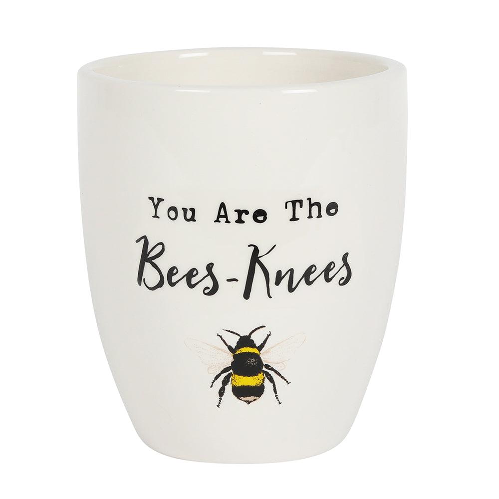 View You Are the Bees Knees Ceramic Plant Pot information