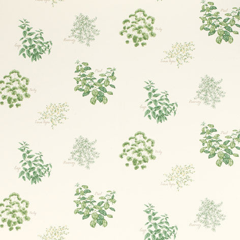Herbs Hedgerow Wallpaper