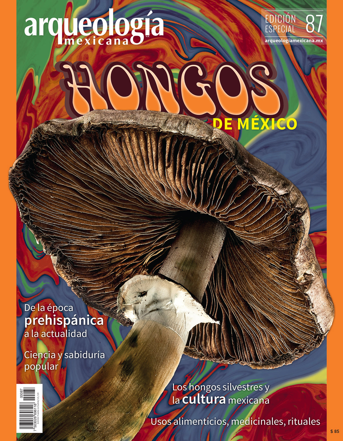 Hongos en México – Tienda web Editorial Raíces, . de .