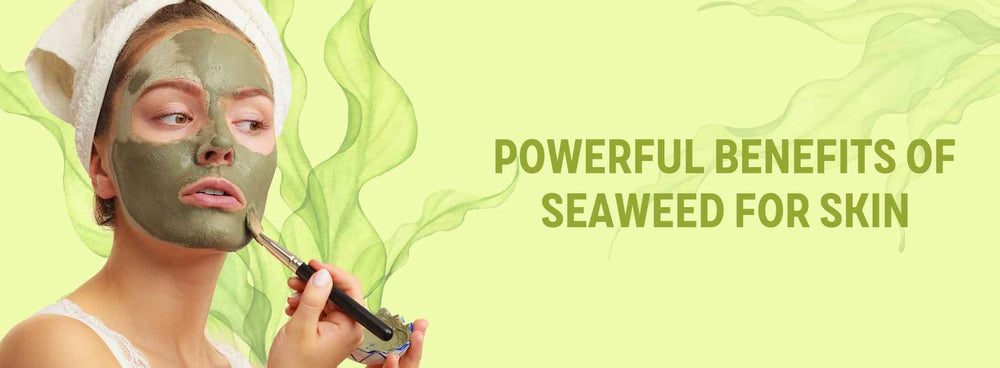 Powerful Benefits Of Seaweed For Skin Uses Results Organic Kitchen   Benefits Of Seaweed For Skin 1000x1000 