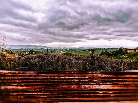 die Aussicht auf die schönen Weinberge von La Morra