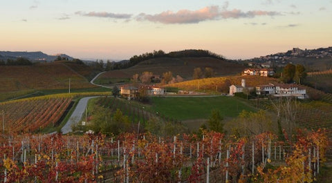 Chionettti Winery - San Luigi Valley - babarolo