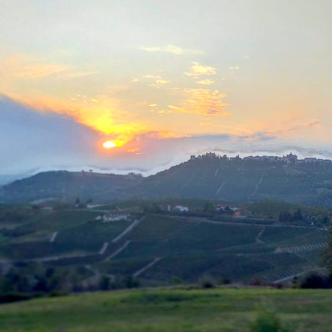 Piemont Sonnenuntergang - Babarolo Weinhandel GmbH