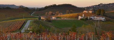 san luigi valley, Dogiani -  Babarolo Weinhandel GmbH