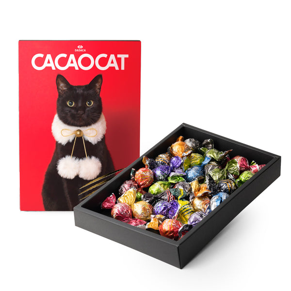 CACAOCAT カカオキャット 空缶 小物入れ かわいい 猫 雑貨 猫グッズ