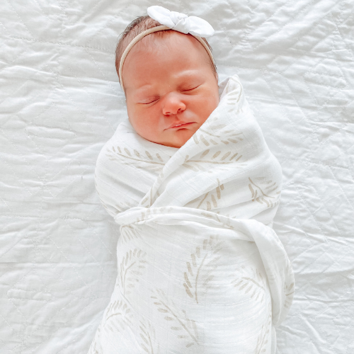 Organic Bamboo Cotton Swaddle - Gold Fern