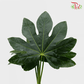 Fatsia Leaf - S - Pudu Ria Florist