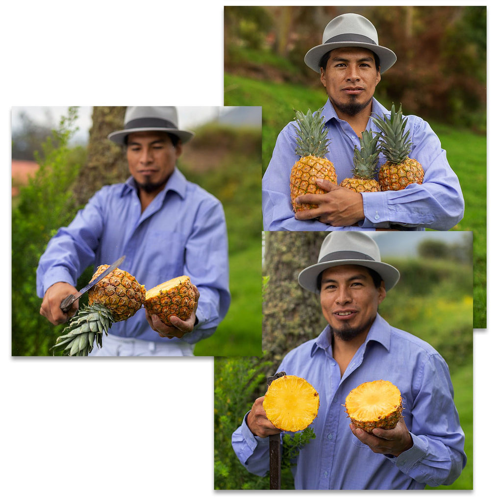 Hilli Fruits Plantagenarbeiter zeigt die Handarbeit bei einer Ananas zur Herstellung des Fruchtpüree aus Ananas