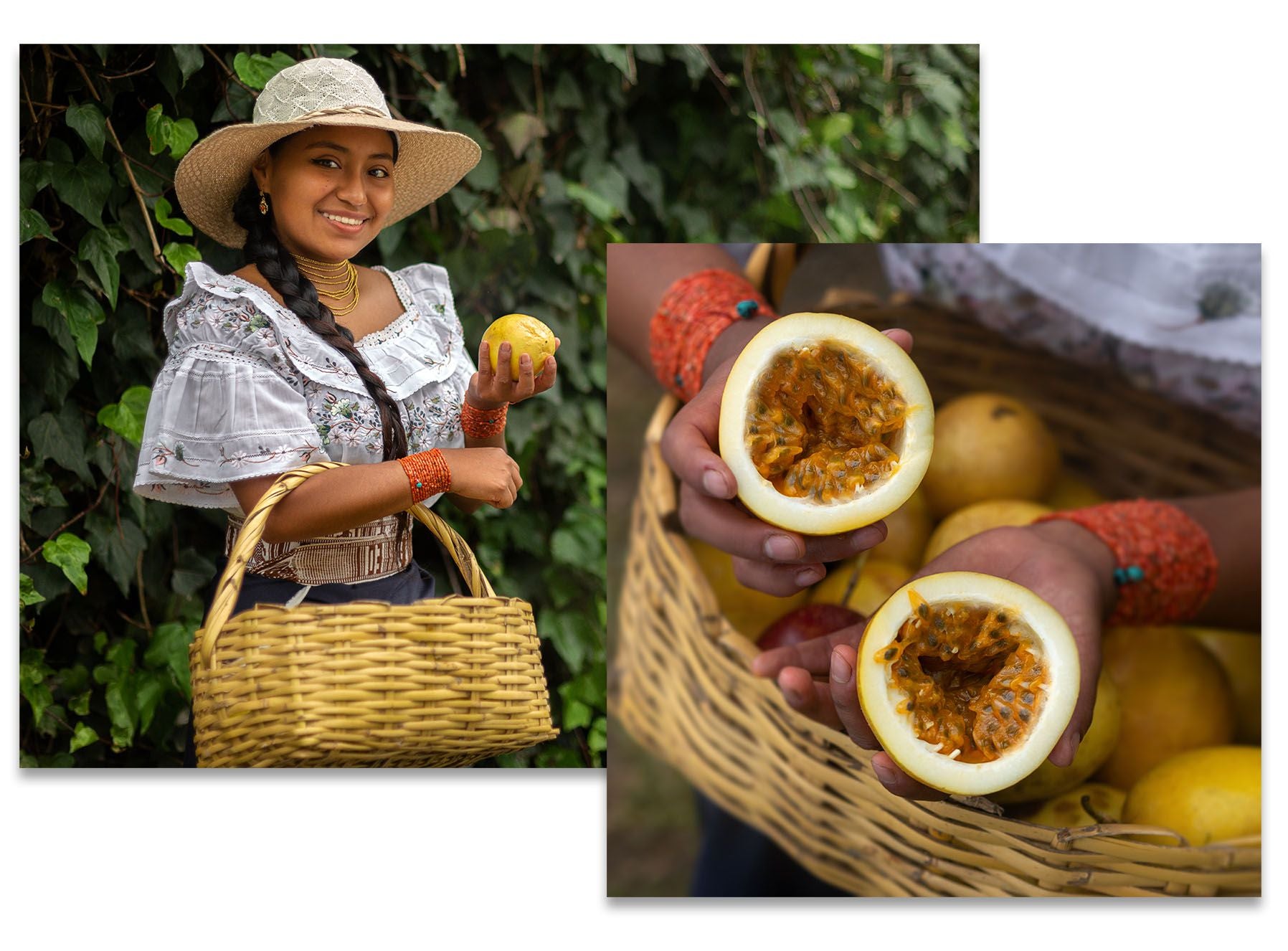 Hilli Fruits - Plantagenarbeiterin zeigt eine Maracuja, die zur Herstellung unseres 100% Fruchtpüree aus Banane-Maracuja verwendet wird.