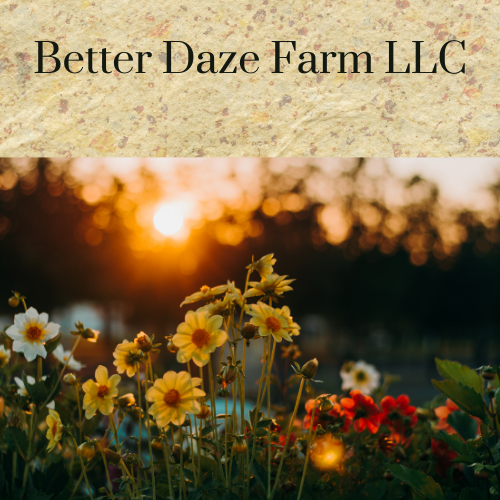 Better Daze Farm LLC