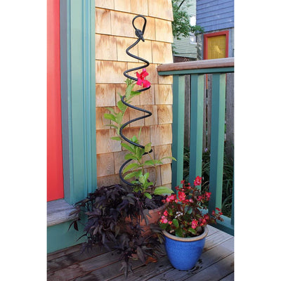 Achla Designs Spiral Wrought Iron Garden Plant Trellis, 8 x 42 Inches, Black