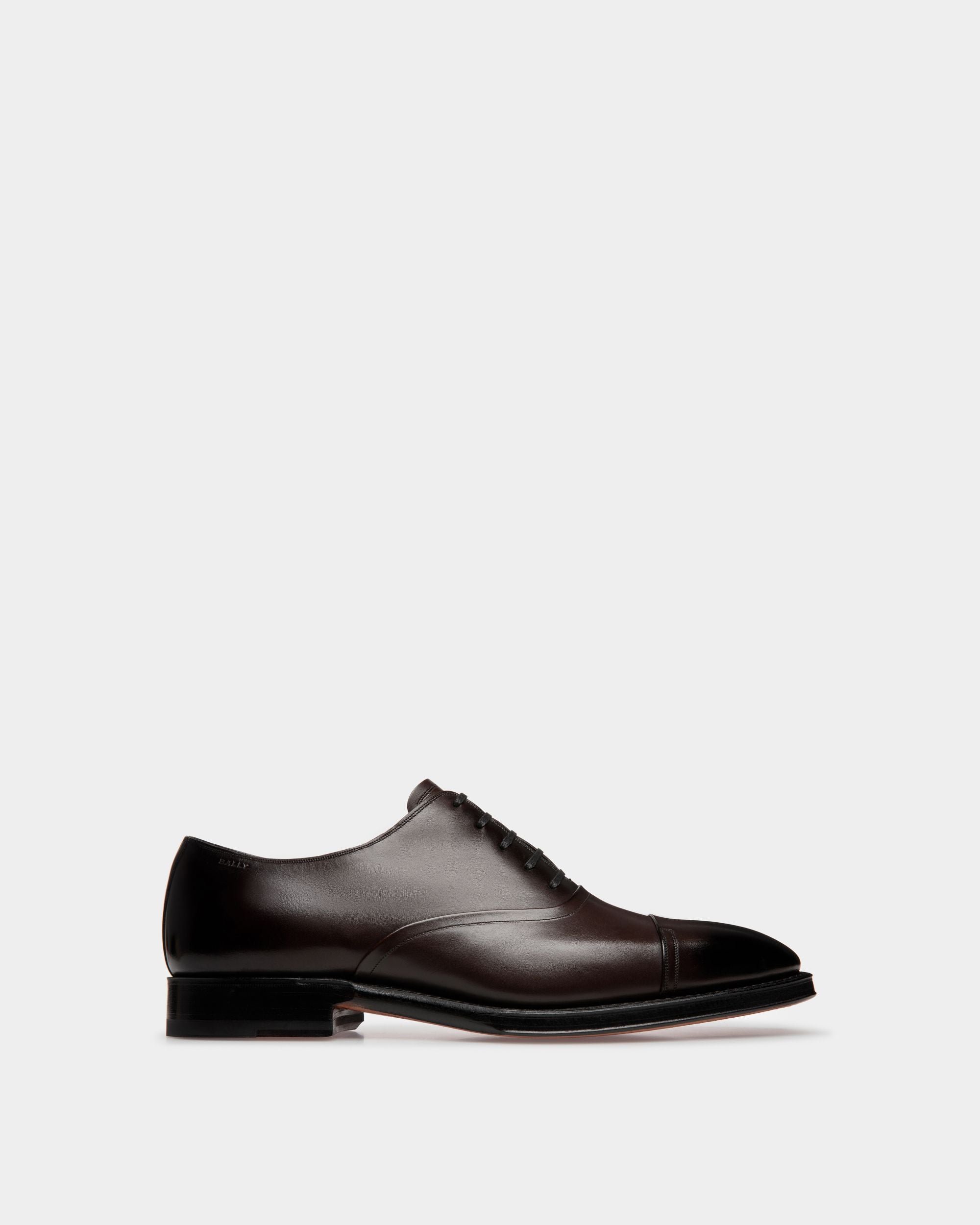 Scribe Oxford Shoes In Brown Leather