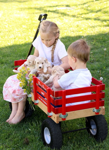 kids wagon