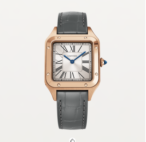 Cartier Santos Watch