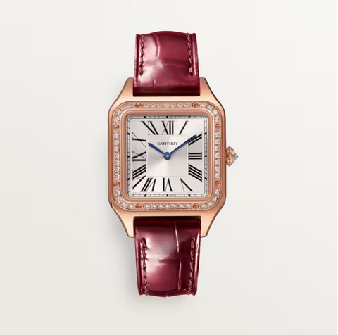 Cartier Santos Watch