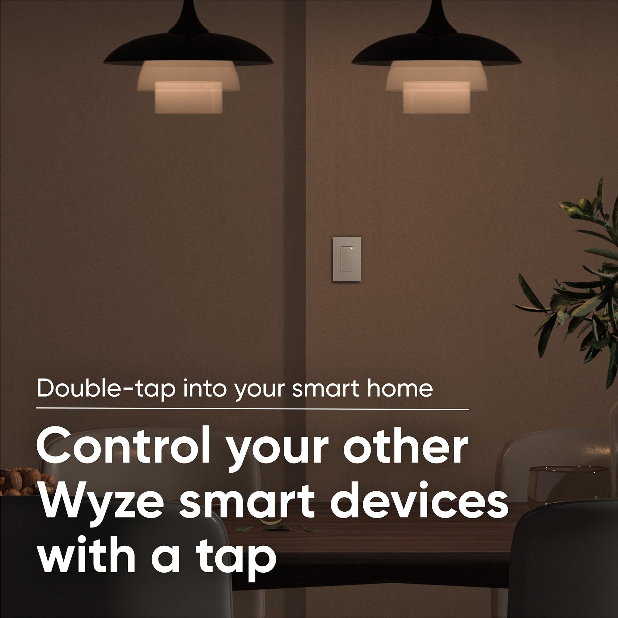 Wyze Switch