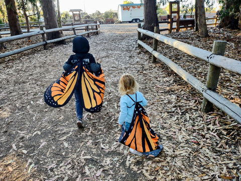 Joy and Rocko explore the Pismo State Beach Monarch Grove - looking at clustering monarchs in the eucalyptus in San Luis Obispo County, California's Central Coast