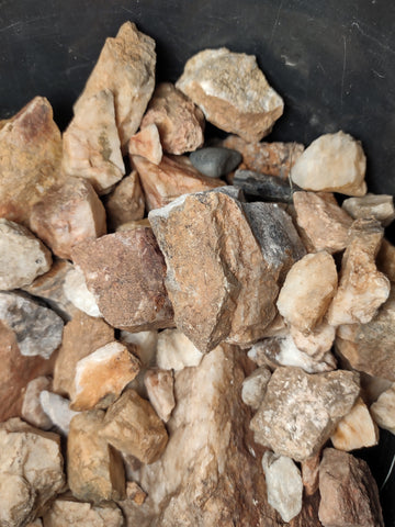 A small bucket of quartz rocks found on West Cuesta Ridge trail while rockhounding