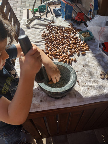 Rocko crushing acorns to remove their shells