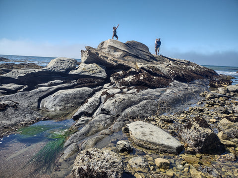 Tide pools at Shell Beach in San Luis Obispo county