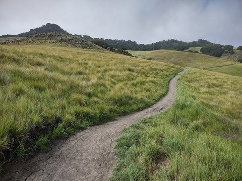 Green and lush Johnson Ranch Trail in San Luis Obispo California